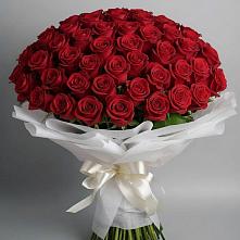 Букет 101 Красная роза Блэк Мэджик #REPLACE_PRED# Стародеревянковской