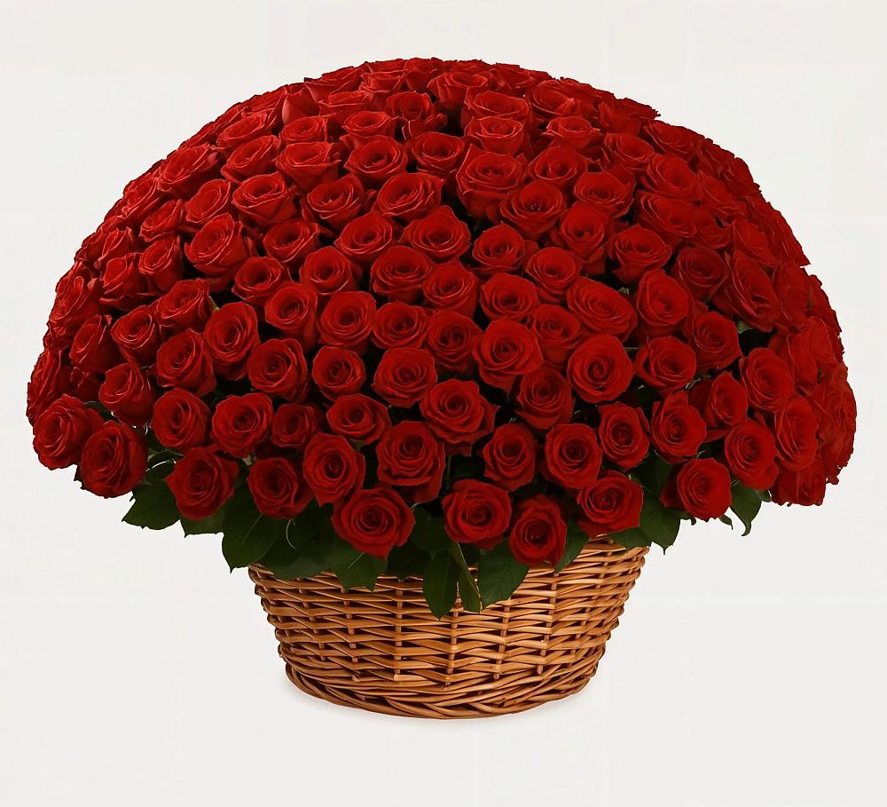 Премиум букет из: Розы в Стародеревянковской