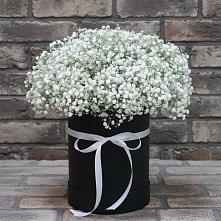 Цветочная композиция из Гипсофила в шляпной коробке в Стародеревянковской